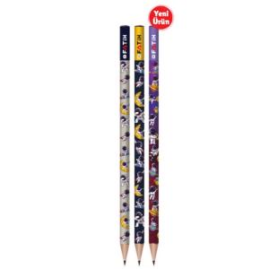 Fatih Kurşun Kalem Astronot Silgili Kurşun Kalem (72 Li Paket)