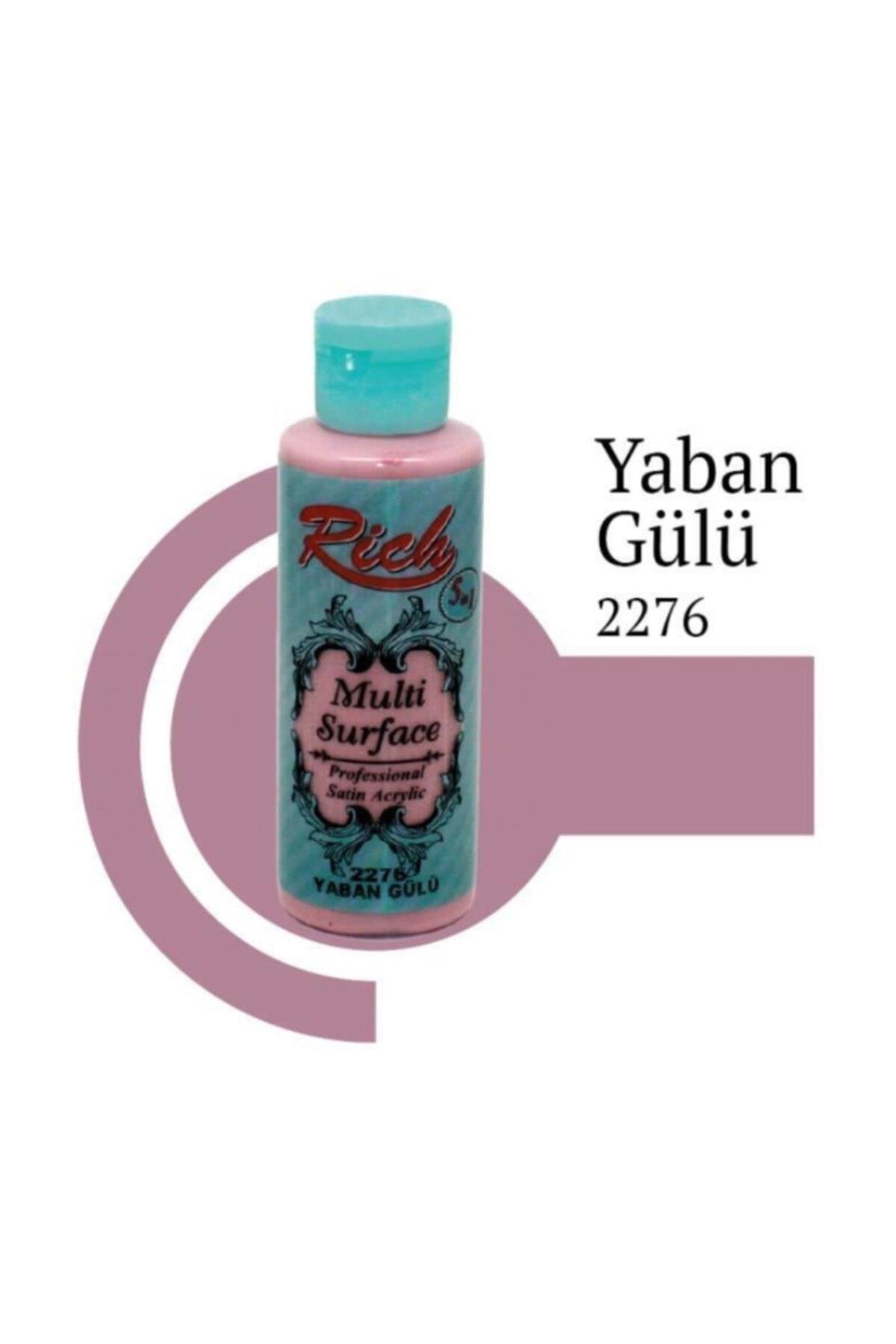 Rich Multi Surface Akrilik Boya 120 cc - 2276 Yaban Gülü